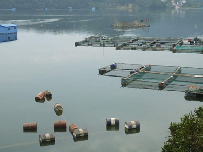 深圳水質檢測