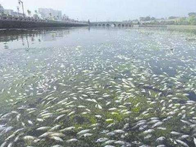 深圳水質檢測