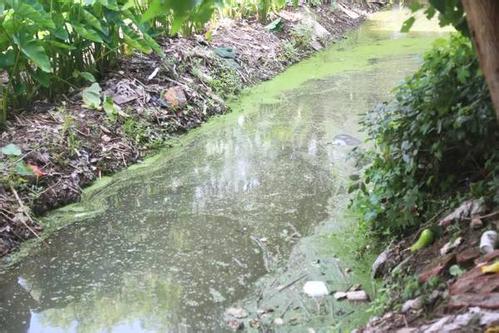深圳水質檢測